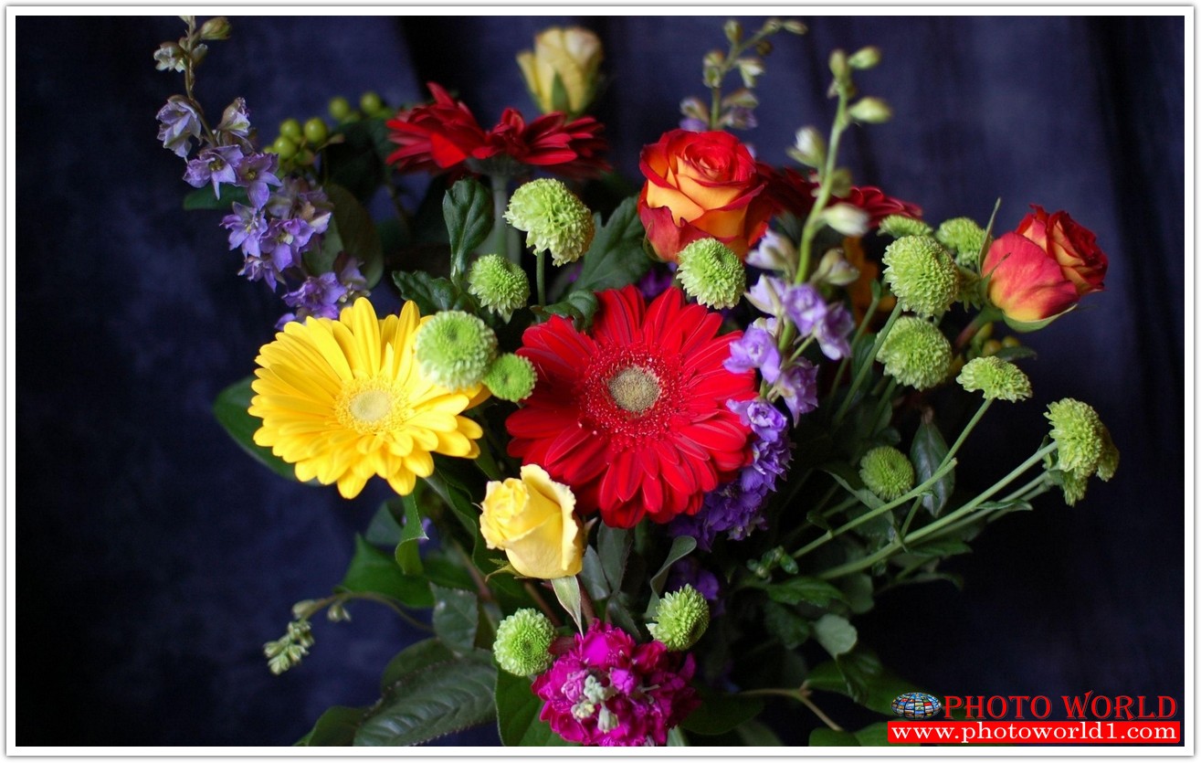 วอลเปเปอร์รูปภาพติดผนังสั่งทำ มีภาพให้เลือกกว่า 50,000 ภาพ ออกแบบกราฟฟิค หรือ รูปภาพตามที่ท่านกำหนด ในสไตล์ท่านเอง "custom made"