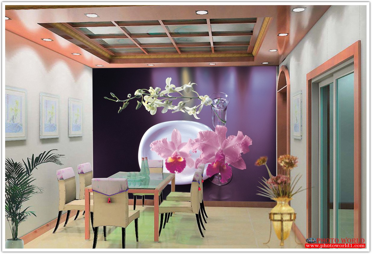 วอลเปเปอร์รูปภาพติดผนังสั่งทำ มีภาพให้เลือกกว่า 50,000 ภาพ ออกแบบกราฟฟิค หรือ รูปภาพตามที่ท่านกำหนด ในสไตล์ท่านเอง "custom made"