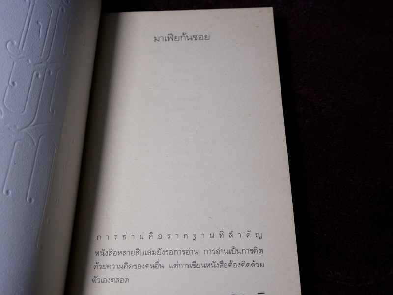 รงค์ วงษ์สวรรค์ มาเฟียก้นซอย