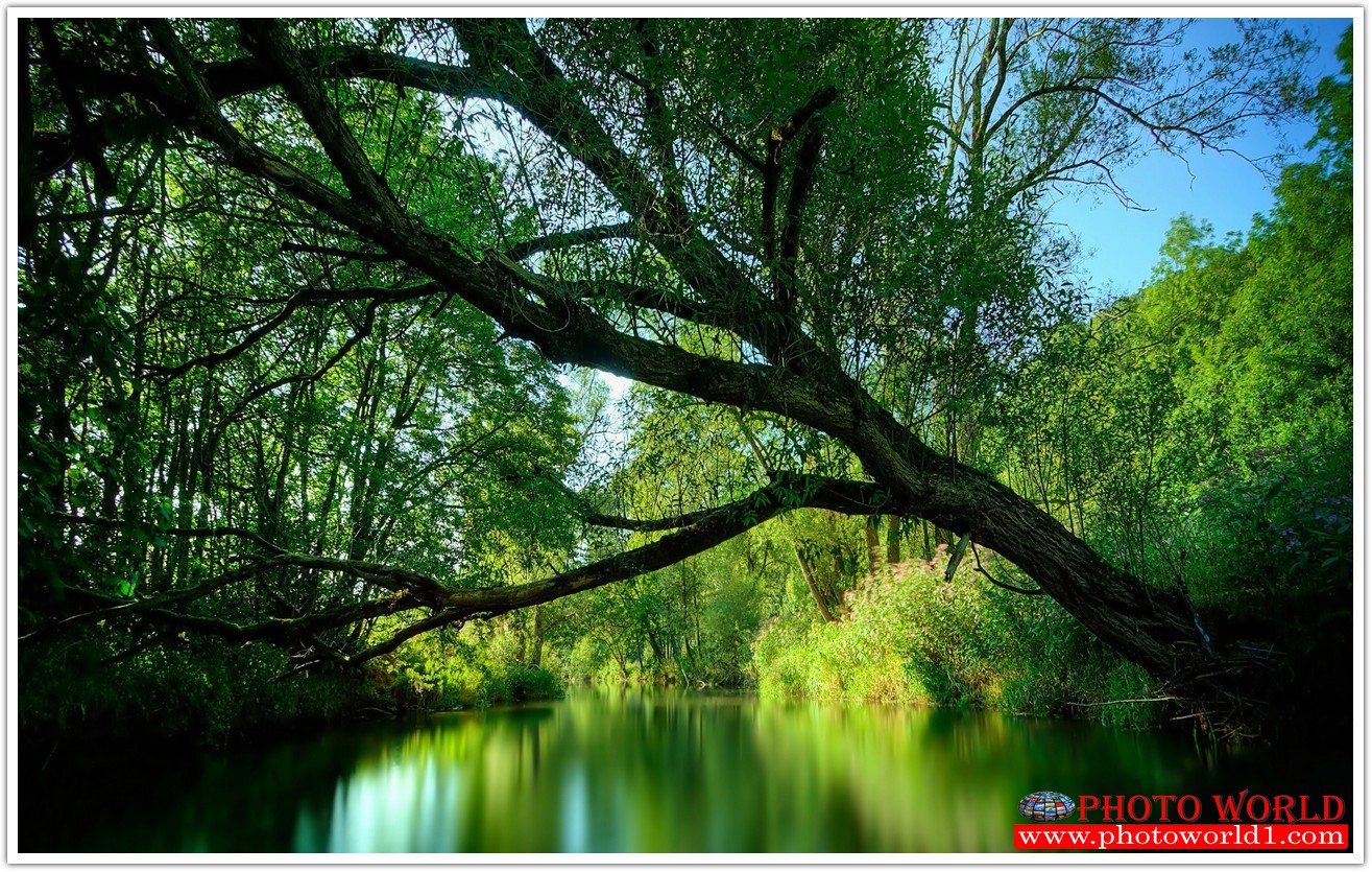 NATURAL วอลเปเปอร์รูปภาพติดผนังสั่งทำ มีภาพให้เลือกกว่า 50,000 ภาพ ออกแบบกราฟฟิค หรือ รูปภาพตามที่ท่านกำหนด ในสไตล์ท่านเอง "custom made"