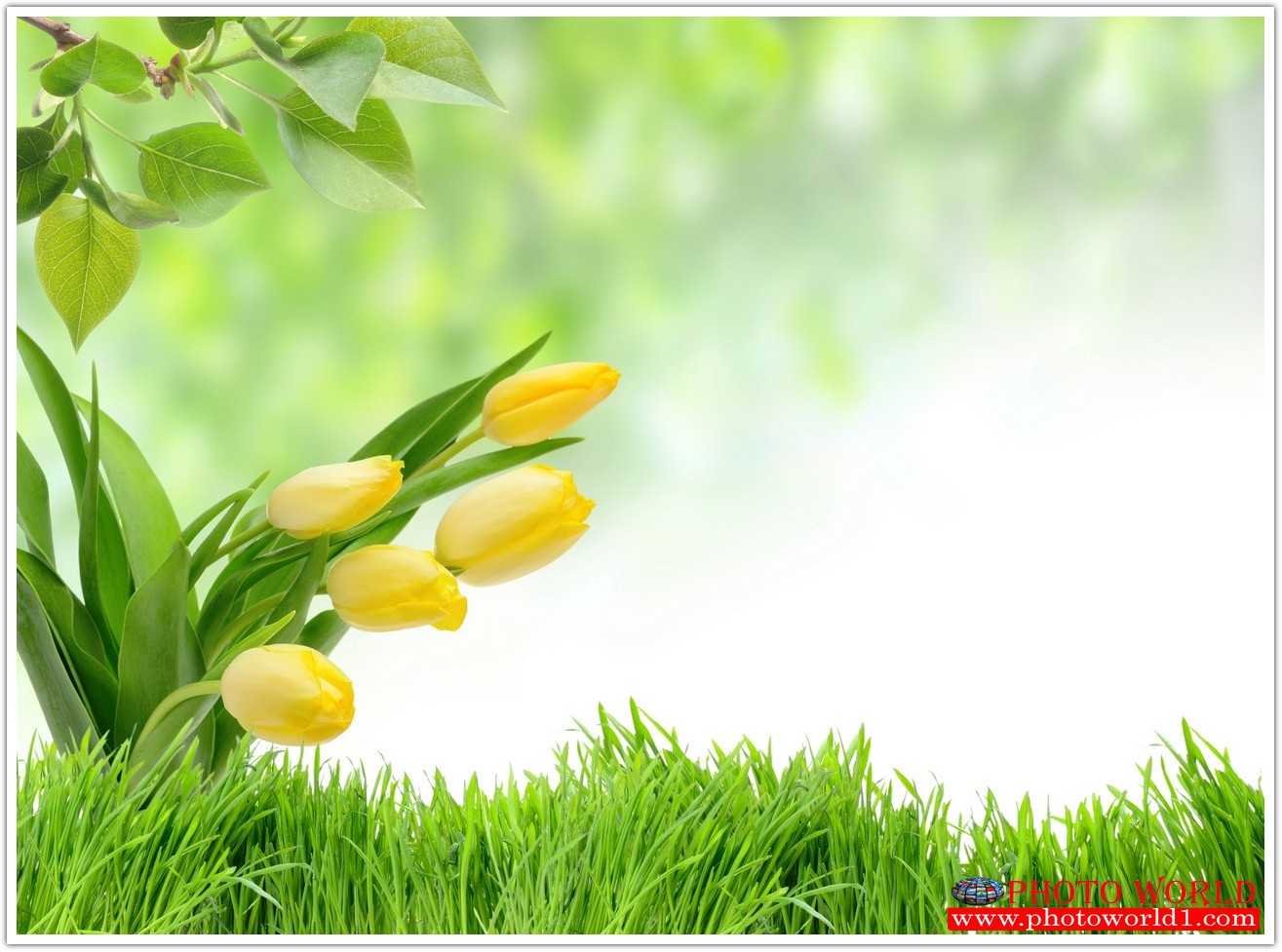 วอลเปเปอร์รูปภาพติดผนังสั่งทำ มีภาพให้เลือกกว่า 50,000 ภาพ ออกแบบกราฟฟิค หรือ รูปภาพตามที่ท่านกำหนด ในสไตล์ท่านเอง "custom made"