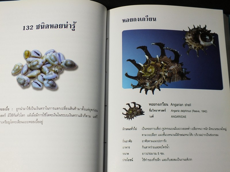 หอยเป็นยา ตามตำรับยาการเเพทย์เเผนไทย โดย เเพทย์หญิงเพ็ญนภา ทรัพย์เจริญ ปกแข็ง ปี 2545