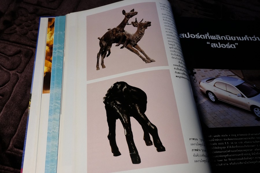 COLLECTION & HOUSE ฉบับพิเศษ บ้านริมน้ำ ปกเเข็ง ปี 2538 (ขายตามสภาพ)
