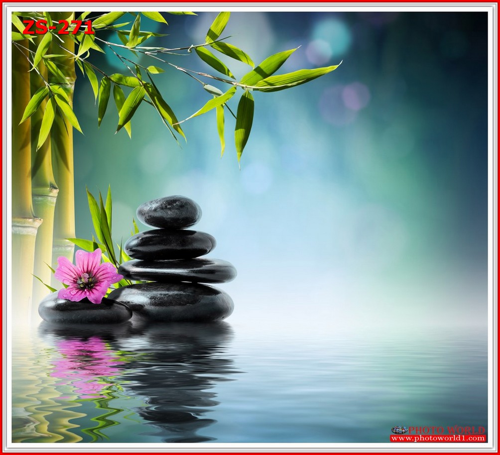 วอลเปเปอร์รูปภาพติดผนังสั่งทำ มีภาพให้เลือกกว่า 50,000 ภาพ ออกแบบกราฟฟิค หรือ รูปภาพตามที่ท่านกำหนด ในสไตล์ท่านเอง "custom made"