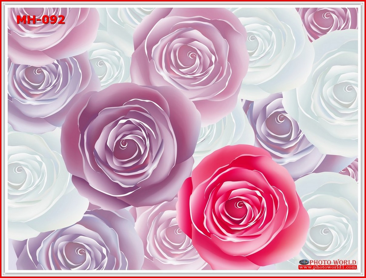 วอลเปเปอร์รูปภาพติดผนังสั่งทำ มีภาพให้เลือกกว่า 50,000 ภาพ ออกแบบกราฟฟิค หรือ รูปภาพตามที่ท่านกำหนด ในสไตล์ท่านเอง "custom made"