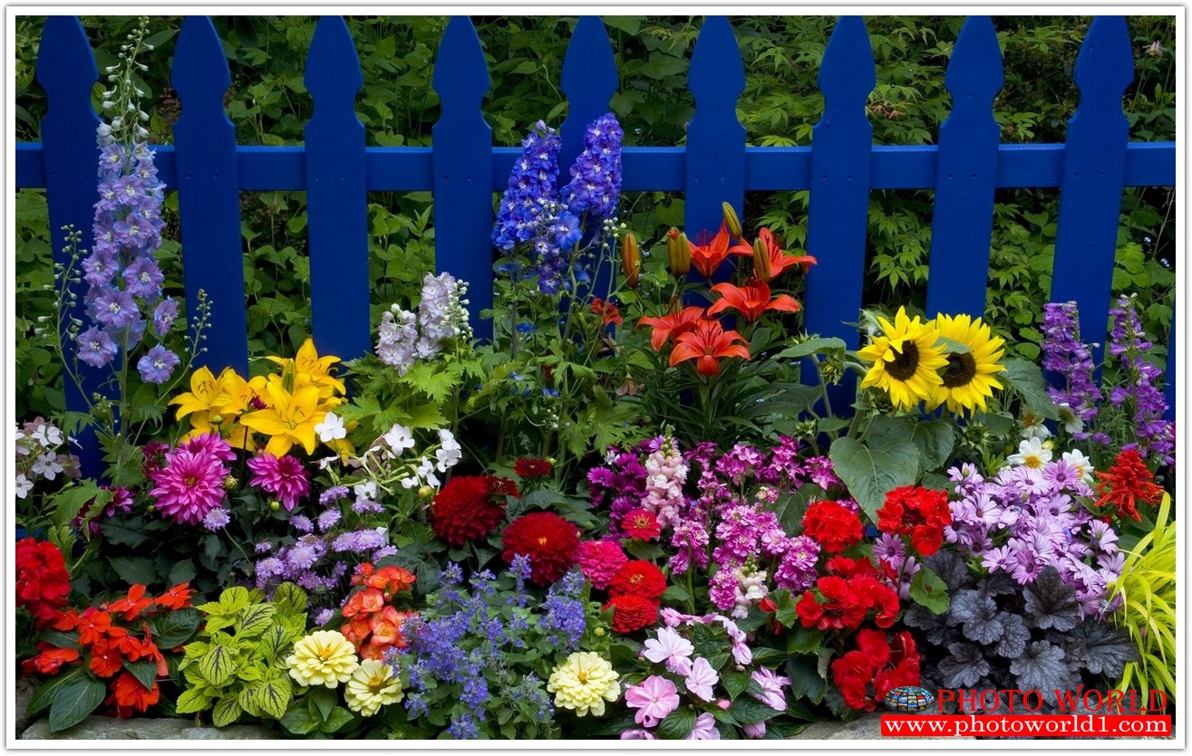 วอลเปเปอร์รูปภาพติดผนังสั่งทำ มีภาพให้เลือกกว่า 50,000 ภาพ ออกแบบกราฟฟิค หรือ รูปภาพตามที่ท่านกำหนด ในสไตล์ท่านเอง "custom made"