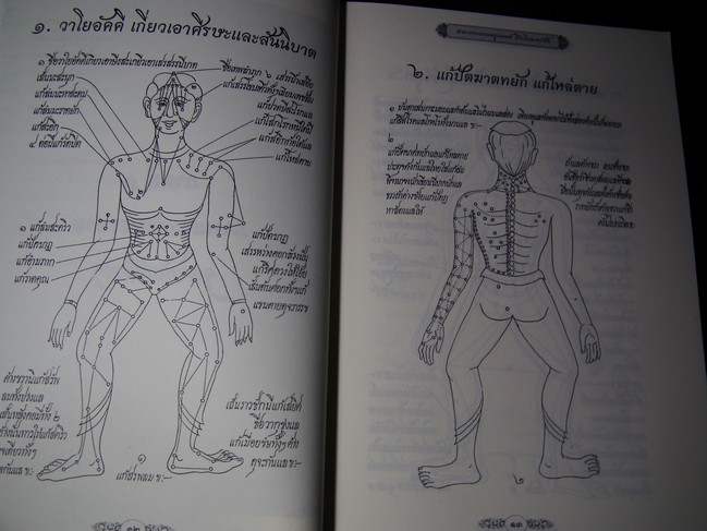 ตำรา พระบรมครูแพทย์ ชีวกโกมารภัจจ์ สมุนไพรพื้นฐาน กับ แพทย์แผนโบราณ