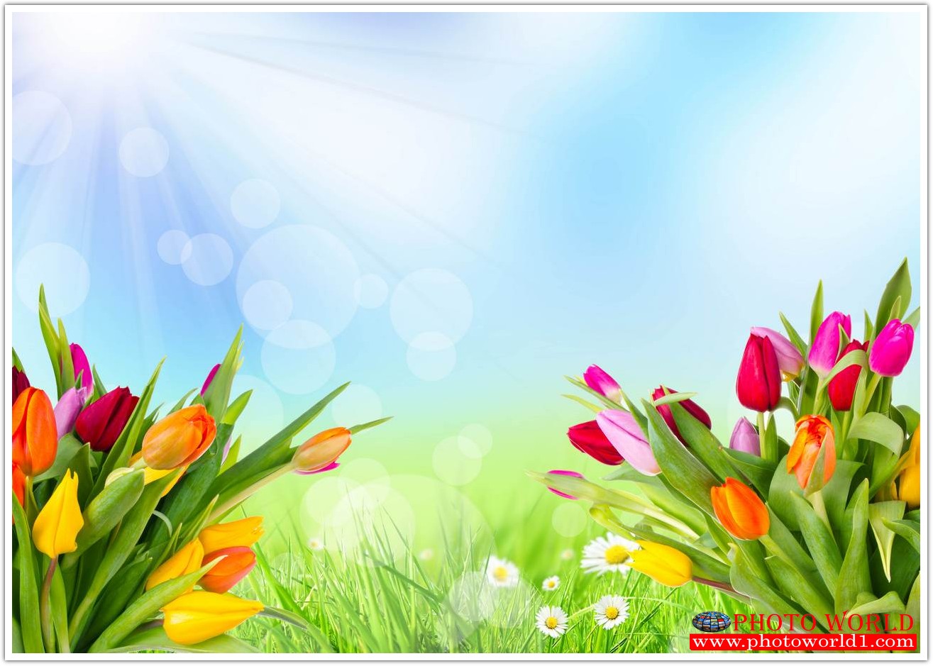 วอลเปเปอร์รูปภาพติดผนังสั่งทำ มีภาพให้เลือกกว่า 50,000 ภาพ ออกแบบกราฟฟิค หรือ รูปภาพตามที่ท่านกำหนด ในสไตล์ท่านเอง "custom made"