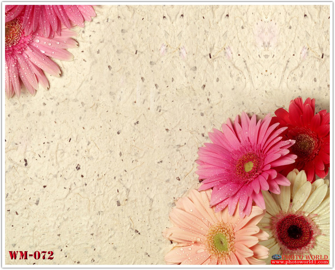 วอลเปเปอร์รูปภาพติดผนังสั่งทำ มีภาพให้เลือกกว่า 50,000 ภาพ ออกแบบกราฟฟิค หรือ รูปภาพตามที่ท่านกำหนด ในสไตล์ท่านเอง "custom made"