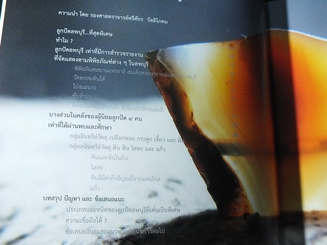 ลูกปัดลพบุรี ที่สุดพิเศษ โดย บัญชา พงษ์พานิช พิมพ์ 1000 เล่ม ปี 2559