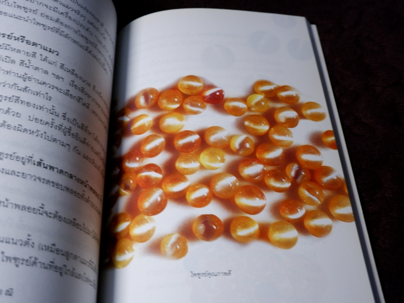 เคล็ดลับสารพัน อัญมณี โดย มณีขจิต