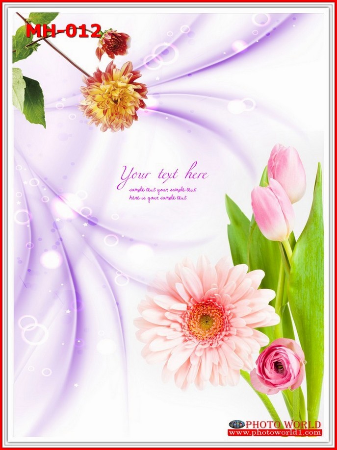 วอลเปเปอร์รูปภาพติดผนังสั่งทำ มีภาพให้เลือกกว่า 50,000 ภาพ ออกแบบกราฟฟิค หรือ รูปภาพตามที่ท่านกำหนด ในสไตล์ท่านเอง "custom made"