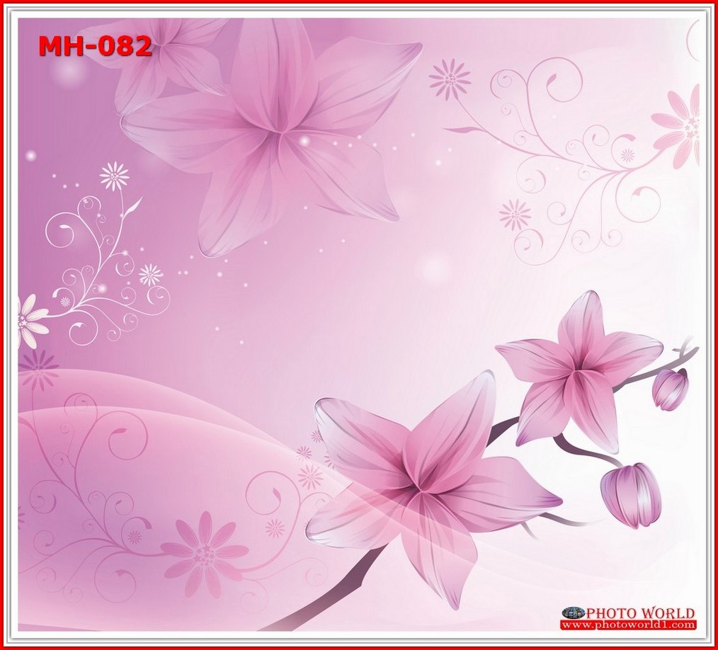 วอลเปเปอร์รูปภาพติดผนังสั่งทำ มีภาพให้เลือกกว่า 50,000 ภาพ ออกแบบกราฟฟิค หรือ รูปภาพตามที่ท่านกำหนด ในสไตล์ท่านเอง "custom made"