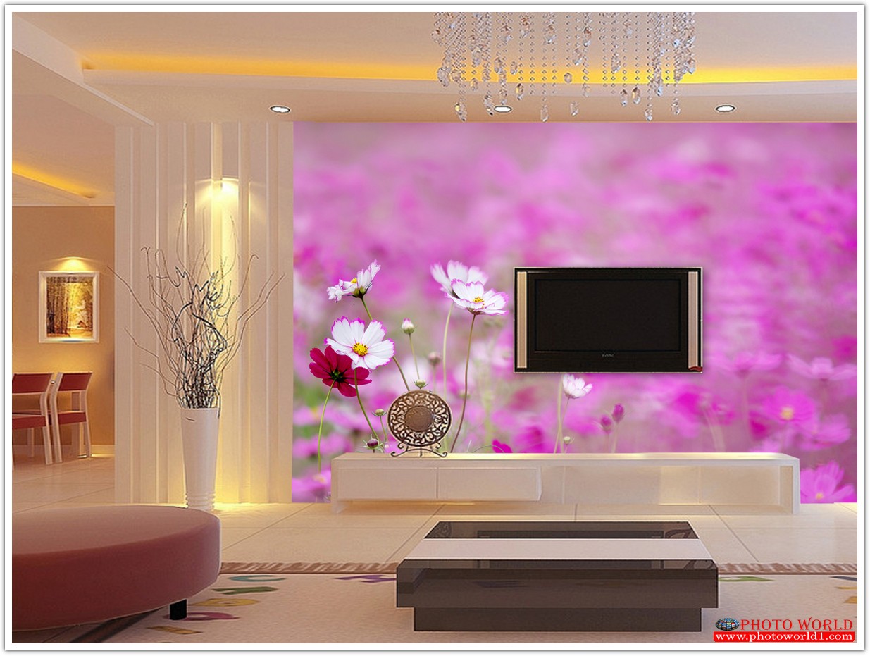 วอลเปเปอร์รูปภาพติดผนังสั่งทำ มีภาพให้เลือกกว่า 50,000 ภาพ ออกแบบกราฟฟิค หรือ รูปภาพตามที่ท่านกำหนด ในสไตล์ท่านเอง "custom made"