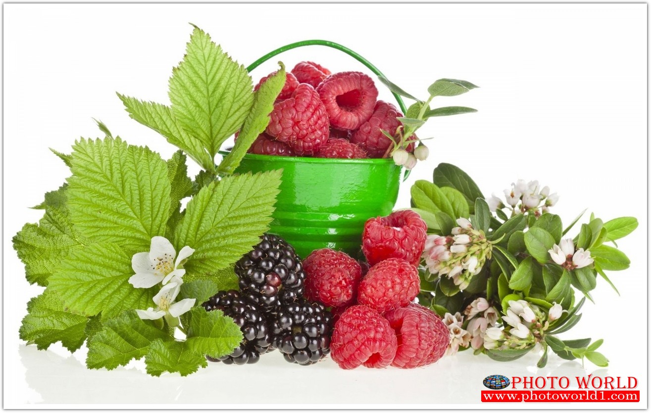 วอลเปเปอร์รูปภาพติดผนังสั่งทำ มีภาพให้เลือกกว่า 50,000 ภาพ ออกแบบกราฟฟิค หรือ รูปภาพตามที่ท่านกำหนด ในสไตล์ท่านเอง "custom made"