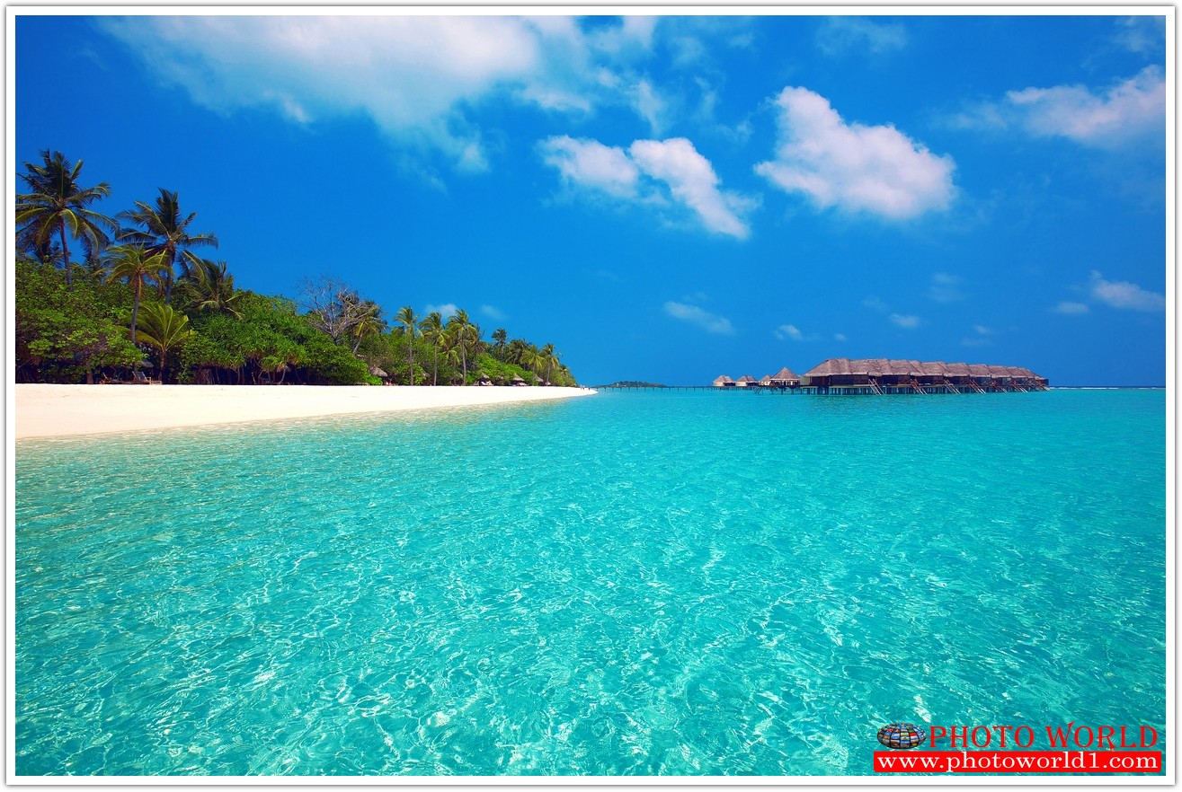 วอลเปเปอร์รูปภาพติดผนังสั่งทำ มีภาพให้เลือกกว่า 50,000 ภาพ ออกแบบกราฟฟิค หรือ รูปภาพตามที่ท่านกำหนด ในสไตล์ท่านเอง "custom made"