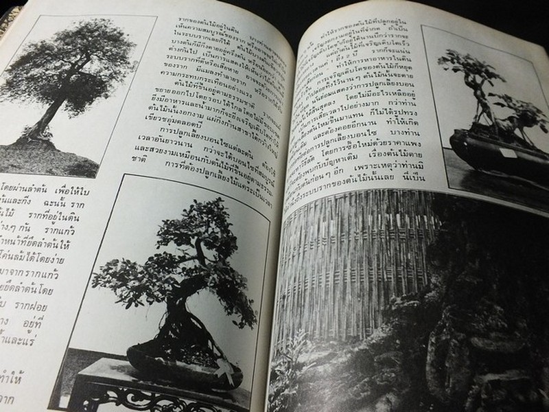 บอนไซ 01 02 03 รวม 3 เล่ม โดยชมรมบอนไซ(ไม้เเคระ) เเห่งประเทศไทย //สอบถาม//