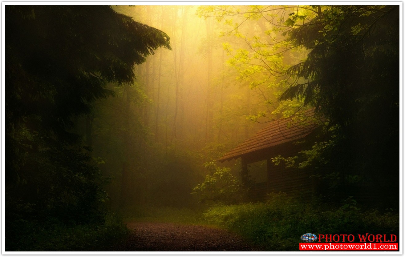 NATURAL วอลเปเปอร์รูปภาพติดผนังสั่งทำ มีภาพให้เลือกกว่า 50,000 ภาพ ออกแบบกราฟฟิค หรือ รูปภาพตามที่ท่านกำหนด ในสไตล์ท่านเอง "custom made"