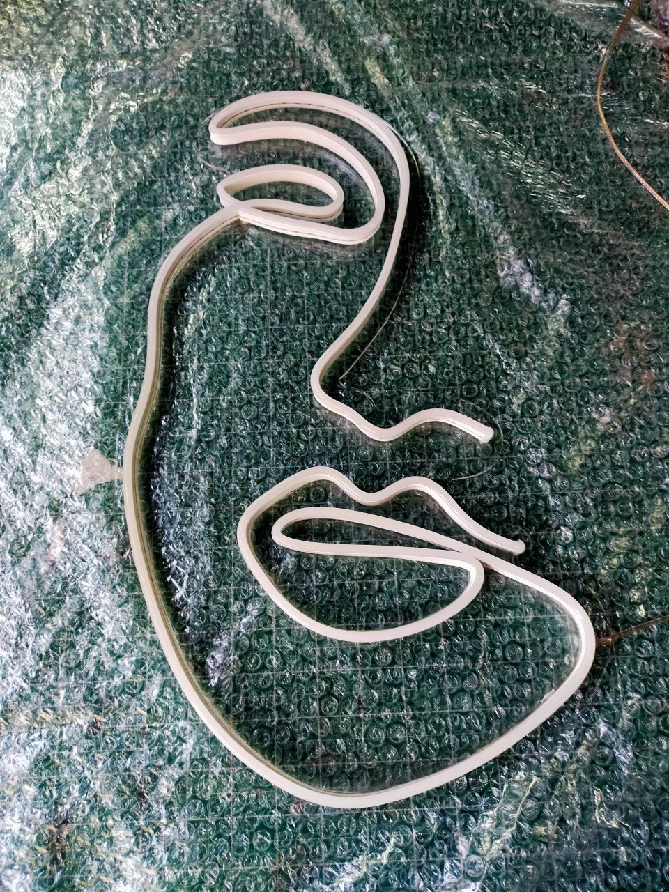 ไฟนีออน เฟค