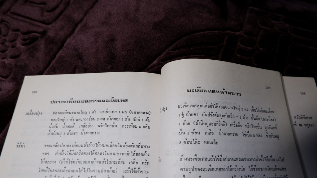 อนุสรณ์ 100 ปี ม.ร.ว.เตื้อง สนิทวงศ์ ปี 2527