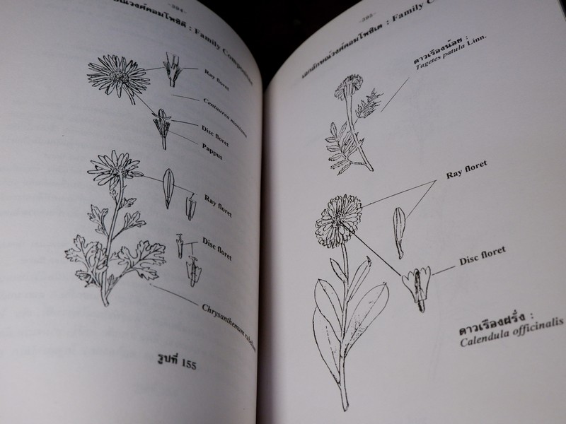 การตรวจเอกลักษณ์พืชสมุนไพร ภาคพิเศษ โดย สถาบันการเเพทย์ไทย เเละ คณะเภสัช ม.เชียงใหม่