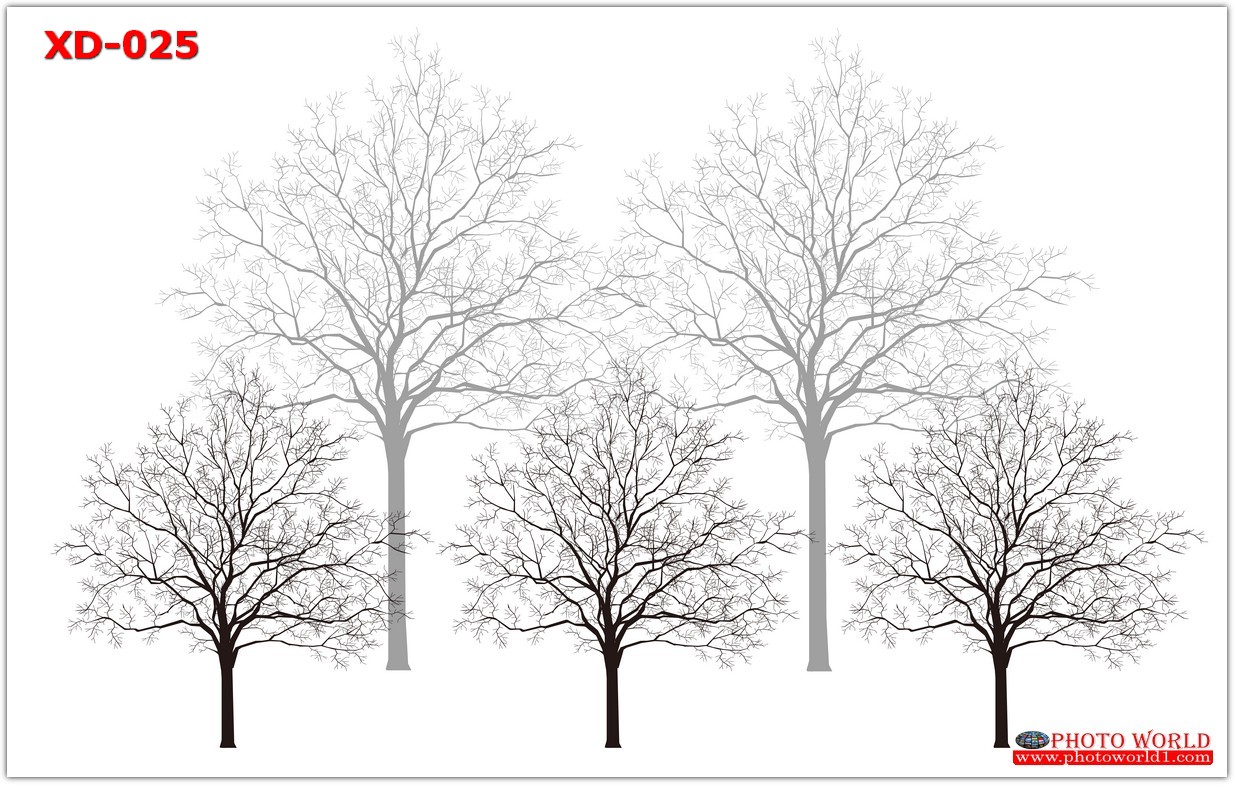 วอลเปเปอร์รูปภาพติดผนังสั่งทำ มีภาพให้เลือกกว่า 50,000 ภาพ ออกแบบกราฟฟิค หรือ รูปภาพตามที่ท่านกำหนด ในสไตล์ท่านเอง "custom made"