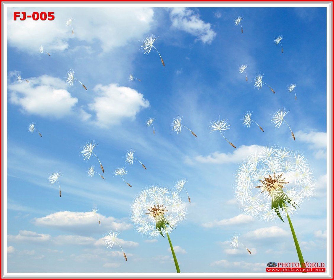 วอลเปเปอร์รูปภาพติดผนังสั่งทำ มีภาพให้เลือกกว่า 50,000 ภาพ ออกแบบกราฟฟิค หรือ รูปภาพตามที่ท่านกำหนด ในสไตล์ท่านเอง "custom made"