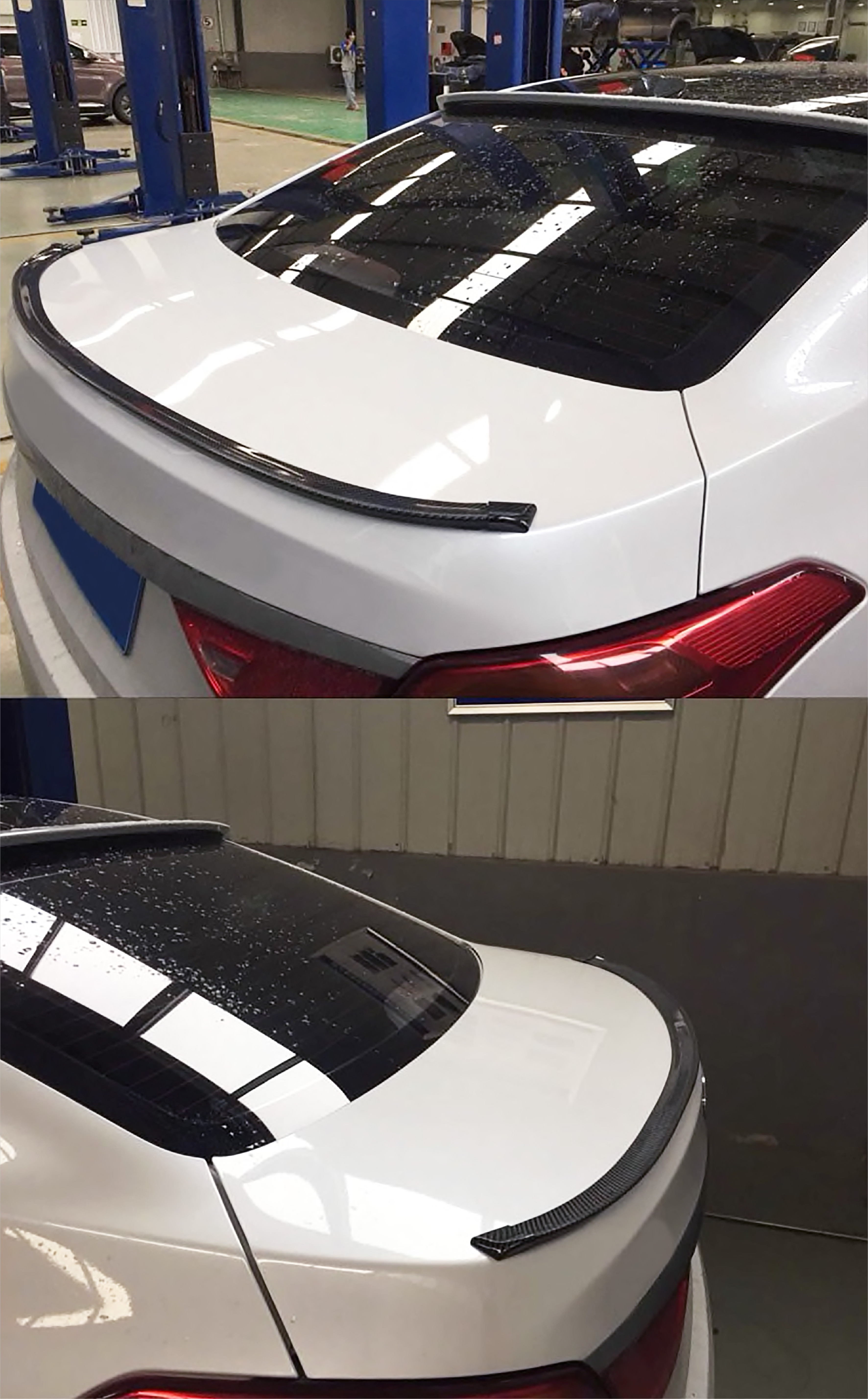 ตูดเป็น คาร์บอน