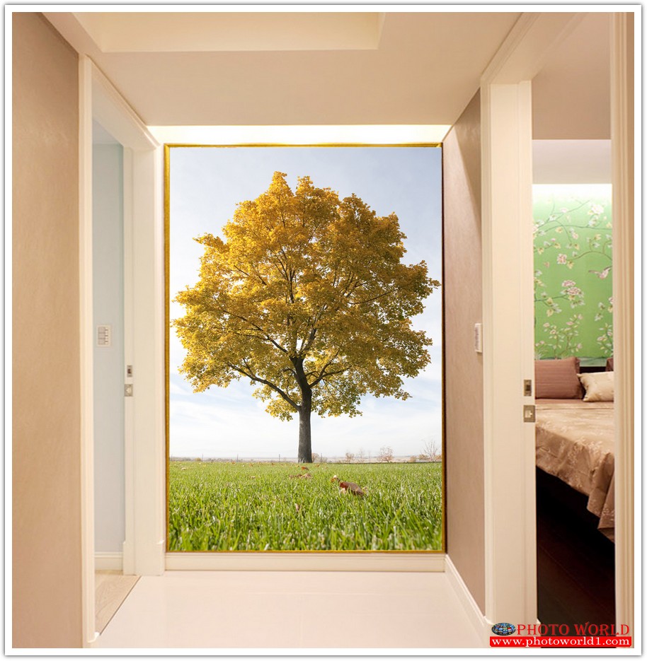 วอลเปเปอร์รูปภาพติดผนังสั่งทำ มีภาพให้เลือกกว่า 50,000 ภาพ ออกแบบกราฟฟิค หรือ รูปภาพตามที่ท่านกำหนด ในสไตล์ท่านเอง "custom made"