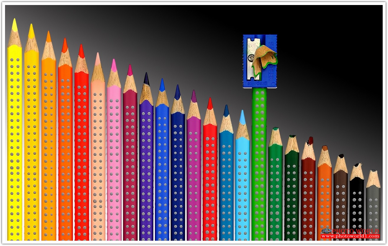 วอลเปเปอร์รูปภาพติดผนังสั่งทำ มีภาพให้เลือกกว่า 50,000 ภาพ ออกแบบกราฟฟิค หรือ รูปภาพตามที่ท่านกำหนด ในสไตล์ท่านเอง "custom made"