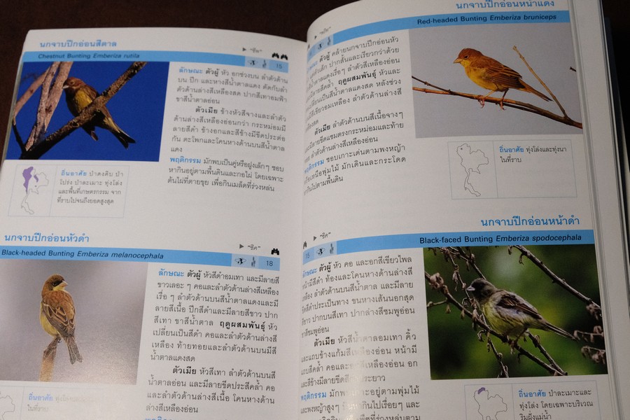 Thailand Bird Guide โดย ร่งโรจน์ จุกมงคล ปี 2549