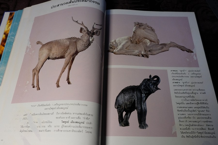 COLLECTION & HOUSE ฉบับพิเศษ บ้านริมน้ำ ปกเเข็ง ปี 2538 (ขายตามสภาพ)