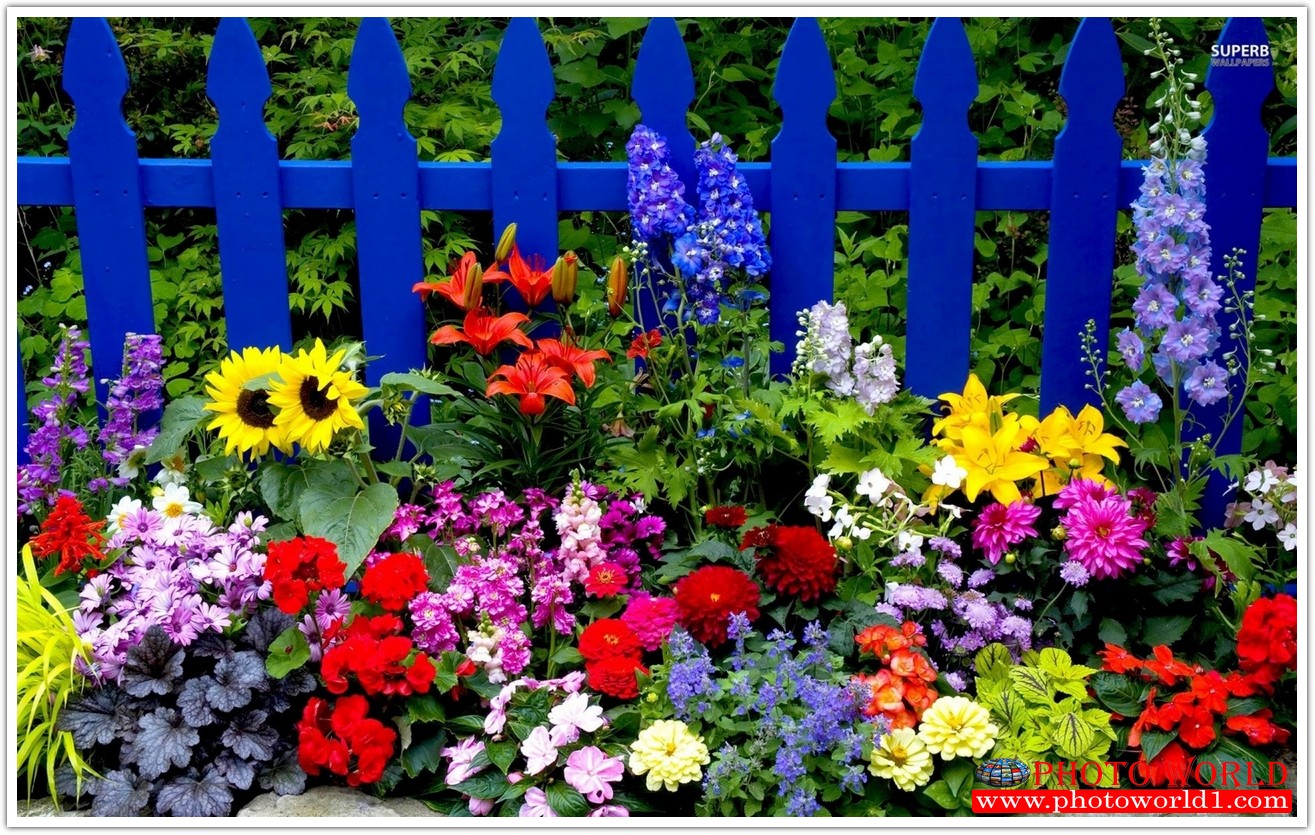 วอลเปเปอร์รูปภาพติดผนังสั่งทำ มีภาพให้เลือกกว่า 50,000 ภาพ ออกแบบกราฟฟิค หรือ รูปภาพตามที่ท่านกำหนด ในสไตล์ท่านเอง "custom made"