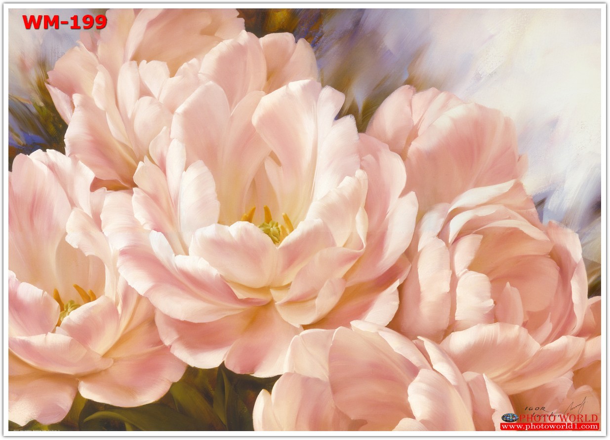 วอลเปเปอร์รูปภาพติดผนังสั่งทำ มีภาพให้เลือกกว่า 50,000 ภาพ ออกแบบกราฟฟิค หรือ รูปภาพตามที่ท่านกำหนด ในสไตล์ท่านเอง "custom made"