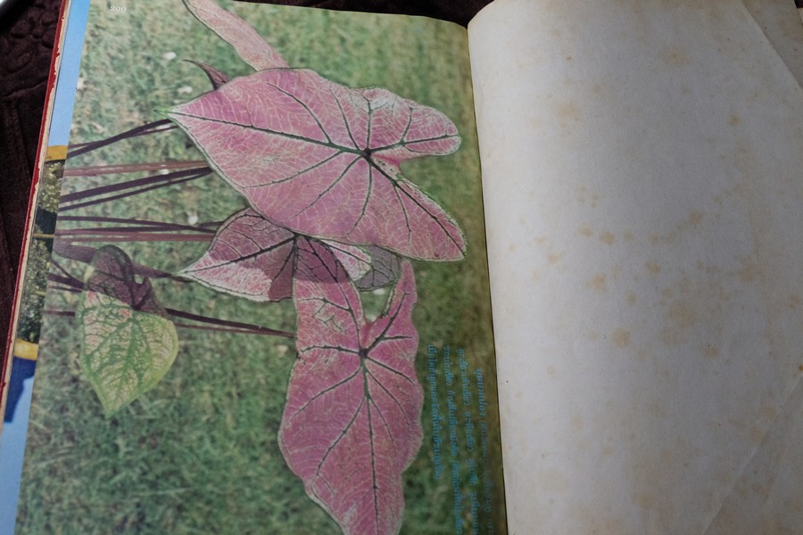 ตำนานบอนสี โดย เจริญ สุขพงษ์ ปกเเข็ง 200 หน้า ปี 2524