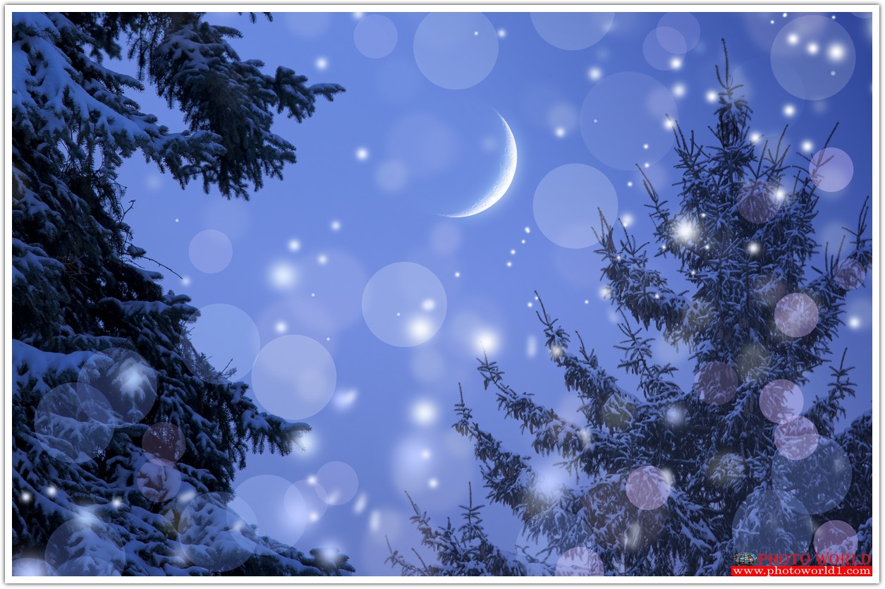 วอลเปเปอร์รูปภาพติดผนังสั่งทำ HI-TECT (PHOTO STOCK) มีภาพให้เลือกกว่า 50,000 ภาพ ออกแบบกราฟฟิค หรือ รูปภาพตามที่ท่านกำหนด ในสไตล์ท่านเอง "custom made"