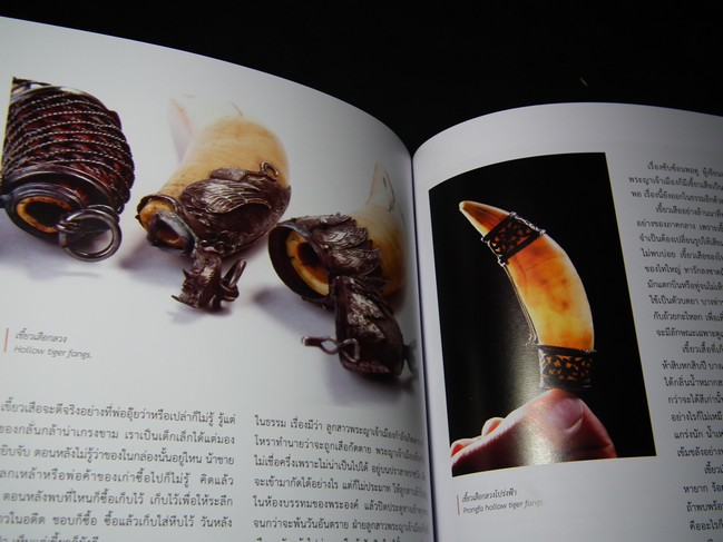 คง เข้ม ข่าม ขลัง เครื่องรางล้านนา โดย วิลักษณ์ ศรีป่าซาง (Pre-Order สอบถาม)