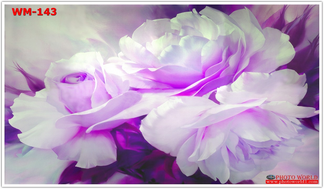 วอลเปเปอร์รูปภาพติดผนังสั่งทำ มีภาพให้เลือกกว่า 50,000 ภาพ ออกแบบกราฟฟิค หรือ รูปภาพตามที่ท่านกำหนด ในสไตล์ท่านเอง "custom made"