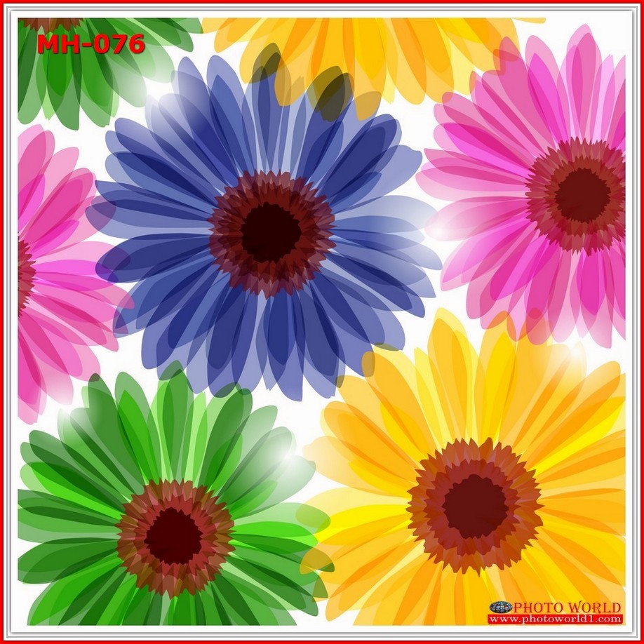 วอลเปเปอร์รูปภาพติดผนังสั่งทำ มีภาพให้เลือกกว่า 50,000 ภาพ ออกแบบกราฟฟิค หรือ รูปภาพตามที่ท่านกำหนด ในสไตล์ท่านเอง "custom made"