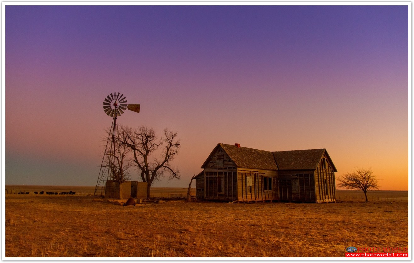 วอลเปเปอร์รูปภาพติดผนังสั่งทำ RETRO&VINTAGE (PHOTO STOCK) มีภาพให้เลือกกว่า 50,000 ภาพ ออกแบบกราฟฟิค หรือ รูปภาพตามที่ท่านกำหนด ในสไตล์ท่านเอง "custom made"