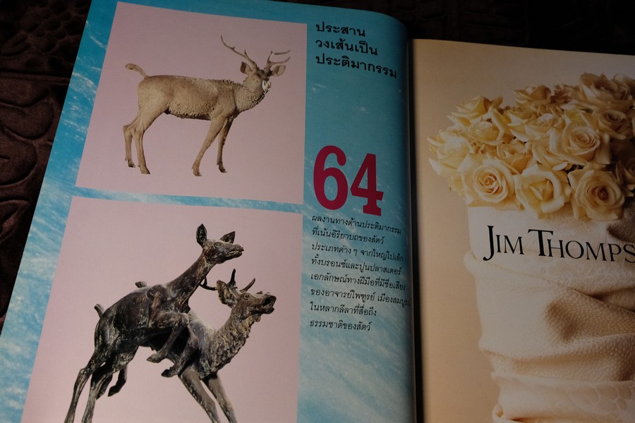 COLLECTION & HOUSE ฉบับพิเศษ บ้านริมน้ำ ปกเเข็ง ปี 2538 (ขายตามสภาพ)