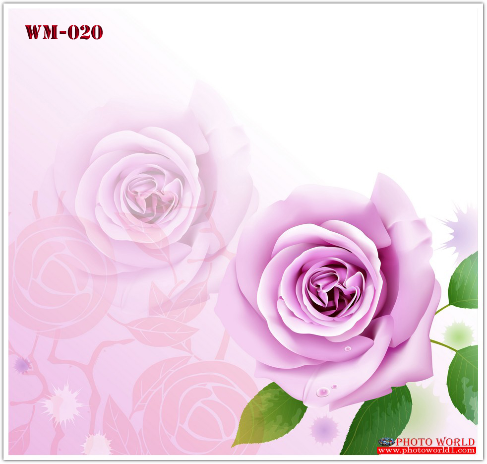 วอลเปเปอร์รูปภาพติดผนังสั่งทำ มีภาพให้เลือกกว่า 50,000 ภาพ ออกแบบกราฟฟิค หรือ รูปภาพตามที่ท่านกำหนด ในสไตล์ท่านเอง "custom made"