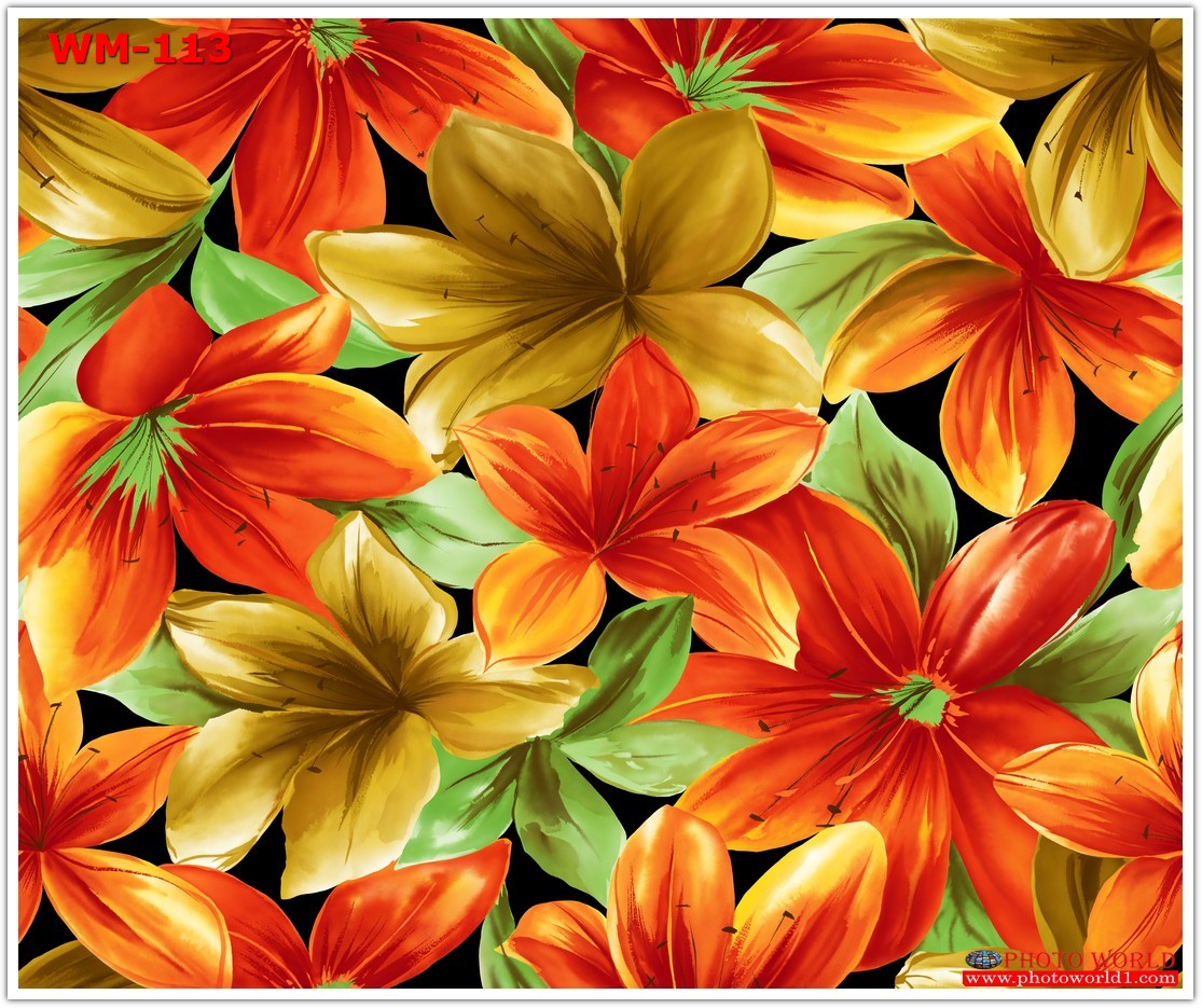 วอลเปเปอร์รูปภาพติดผนังสั่งทำ มีภาพให้เลือกกว่า 50,000 ภาพ ออกแบบกราฟฟิค หรือ รูปภาพตามที่ท่านกำหนด ในสไตล์ท่านเอง "custom made"