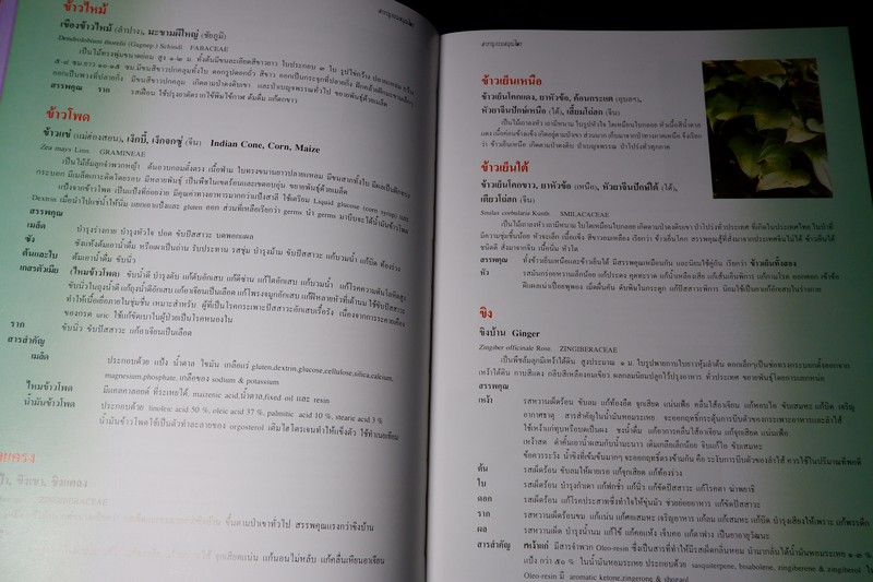 สารานุกรมสมุนไพร รวมหลักเภสัชกรรมไทย โดย วุฒิ วุฒิธรรมเวช ปกแข็ง พิมพ์ 1000 เล่ม ปี 2540