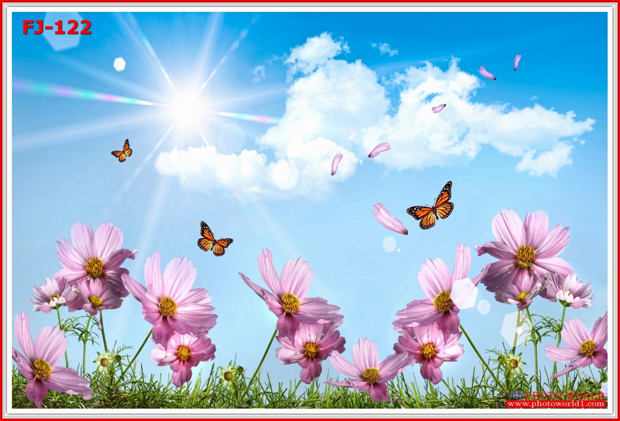 วอลเปเปอร์รูปภาพติดผนังสั่งทำ มีภาพให้เลือกกว่า 50,000 ภาพ ออกแบบกราฟฟิค หรือ รูปภาพตามที่ท่านกำหนด ในสไตล์ท่านเอง "custom made"