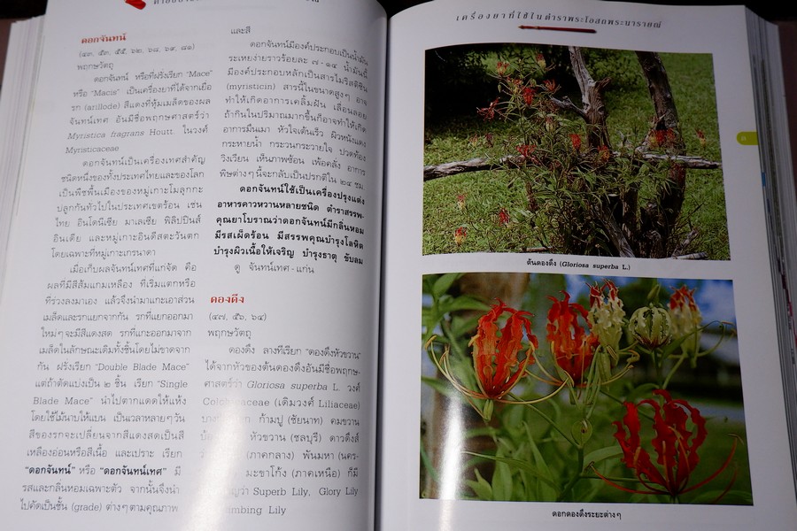 คำอธิบาย ตำราพระโอสถพระนารายณ์ ฉบับเฉลิมพระเกียรติ 72 พรรษามหาราชา พิมพ์เเรก ปี 2544 (pre-order สอบถาม)