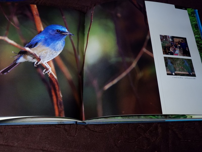สมเด็จพระนางเจ้าสิริกิติ์ พระบรมราชินีนาถกับสิ่งเเวดล้อม
