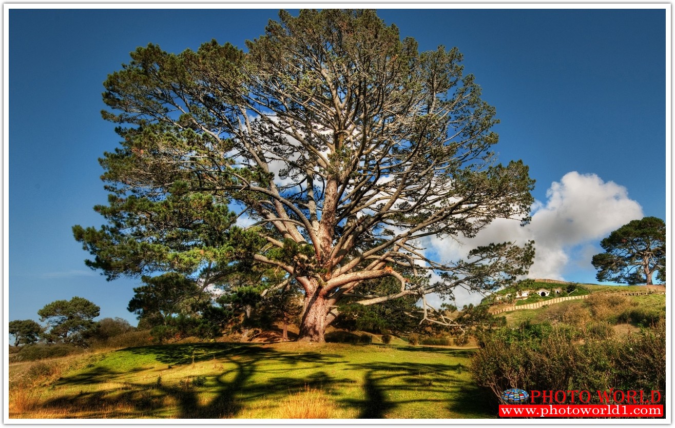 NATURAL วอลเปเปอร์รูปภาพติดผนังสั่งทำ มีภาพให้เลือกกว่า 50,000 ภาพ ออกแบบกราฟฟิค หรือ รูปภาพตามที่ท่านกำหนด ในสไตล์ท่านเอง "custom made"