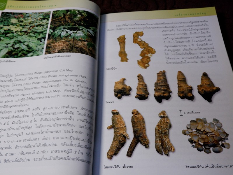 คู่มือเภสัชกรรมเเผนไทย โดย ชยันจ์ พิเชียรสุนทร เเละวิเชียร จีรวงส์ รวม 6 เล่ม (สอบถาม)