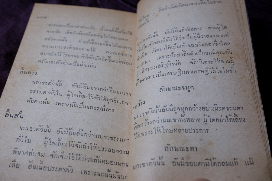 คู่มือเลี้ยงเเละดูลักษณะ นกเขาชะวา โดย พรานนก ปี 2504